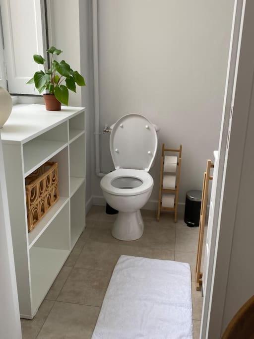 Appartement Plein Centre 리옹 외부 사진