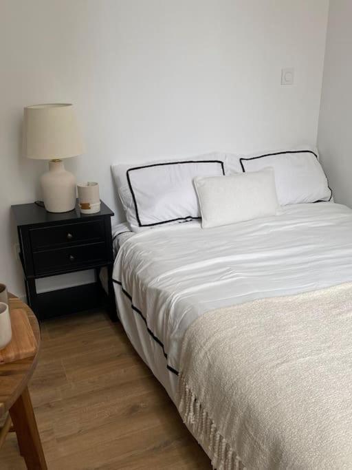 Appartement Plein Centre 리옹 외부 사진